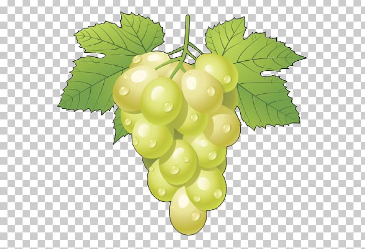 Kyoho Grape Leaves PNG, Clipart, Berry, Blueberry Girl, Clip Art, Common Grape Vine, Food Free PNG Download