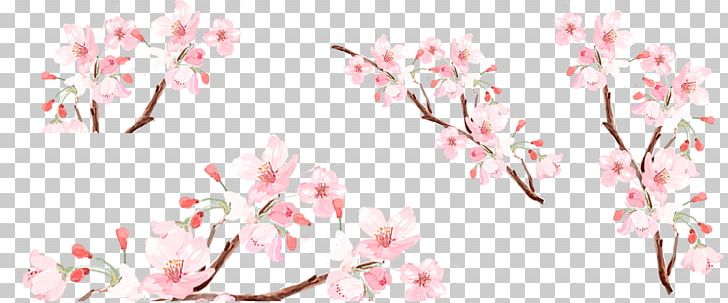 Peach PNG, Clipart, Beautiful, Blossom, Branch, Cherry Blossom, Collection Free PNG Download