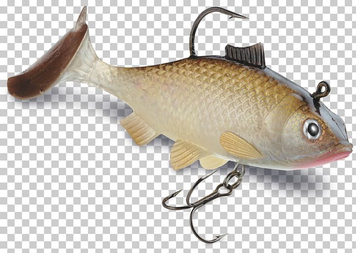 Spoon Lure Fishing Baits & Lures Rapala PNG, Clipart, Bait, Bony Fish, Common Roach, Common Rudd, Fauna Free PNG Download
