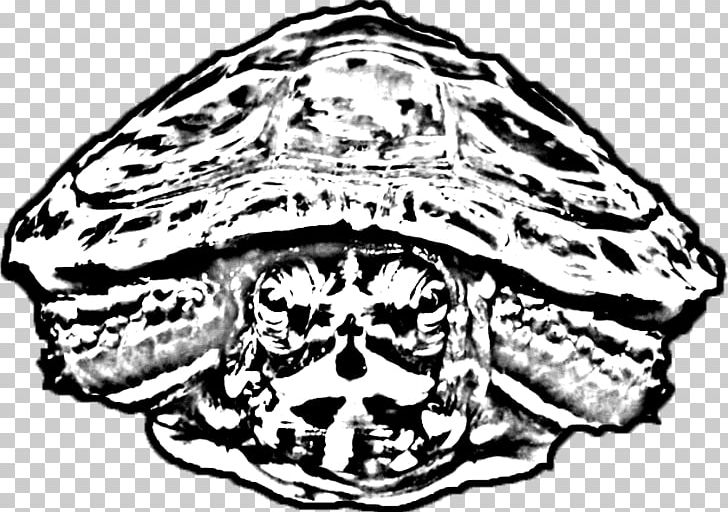 Tortoise Turtle Skull Headgear Jaw PNG, Clipart, Animals, Art, Black And White, Bone, Character Free PNG Download