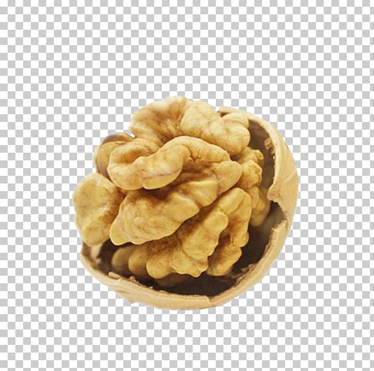 Walnut Food Cashew Dried Fruit PNG, Clipart, Almond, Apricot Kernel, Cashew, Dried Fruit, Food Free PNG Download