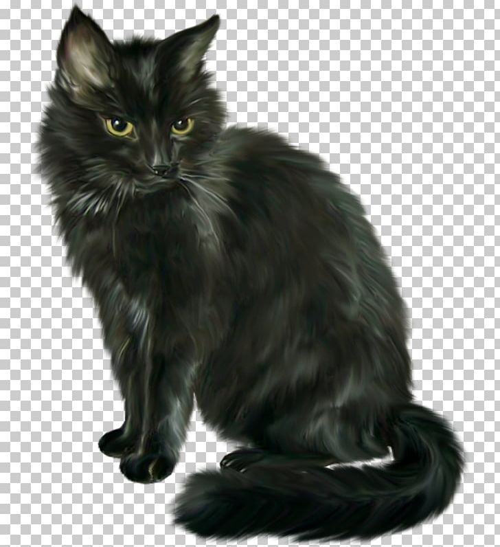 Cat PNG, Clipart, Animal, Animals, Black, Black Background, Black White Free PNG Download