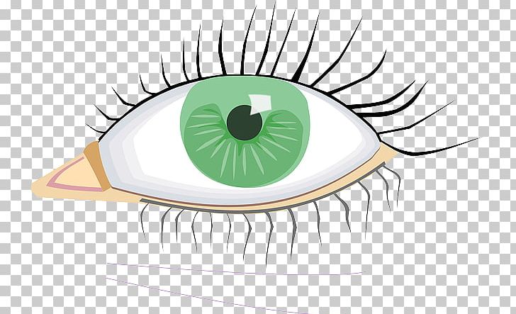 Eye Color PNG, Clipart, Artwork, Clip Art, Download, Eye, Eyebrow Free PNG Download