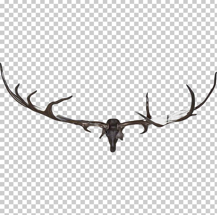 Elk Aynhoe Park Deer Horn Antler PNG, Clipart, Animals, Antler, Art, Aynho, Aynhoe Park Free PNG Download