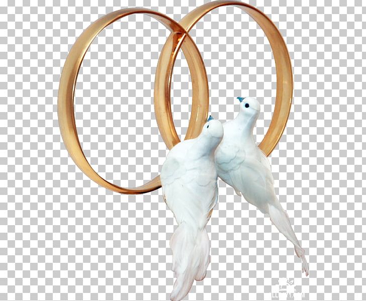 Pigeons And Doves Wedding Ring PNG, Clipart, Bird, Body Jewelry, Bride, Computer Icons, Creation Free PNG Download
