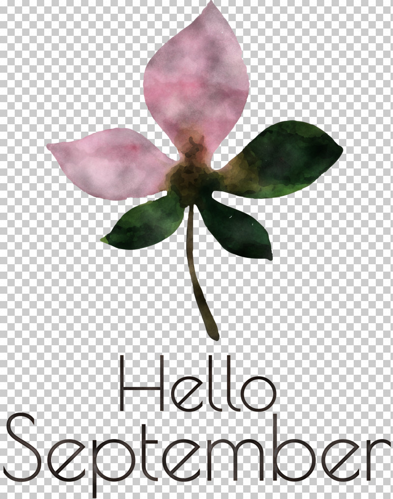 Hello September September PNG, Clipart, Biology, Cut Flowers, Flower, Hello September, Herbaceous Plant Free PNG Download