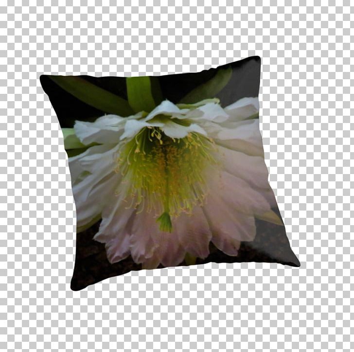 Cushion Throw Pillows PNG, Clipart, Cushion, Flower, Flowering Plant, Others, Petal Free PNG Download