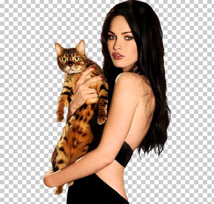 Megan Fox Transformers Female Cat PNG, Clipart, Bengal, Blog, Brown Hair, Carnivoran, Cat Free PNG Download