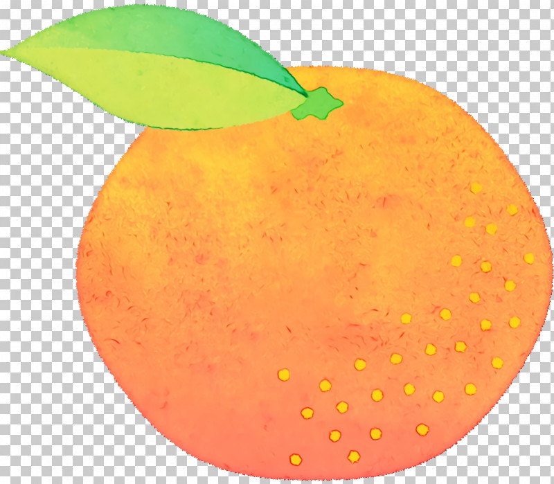 Citrus Apple Apple PNG, Clipart, Apple, Citrus, Paint, Watercolor, Wet Ink Free PNG Download