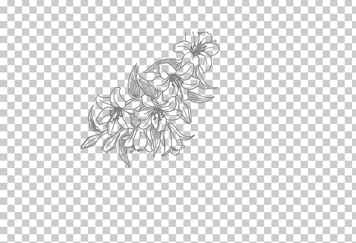 Flower Line Art Drawing PNG, Clipart, Art, Artwork, Black, Black And White, Branch Free PNG Download