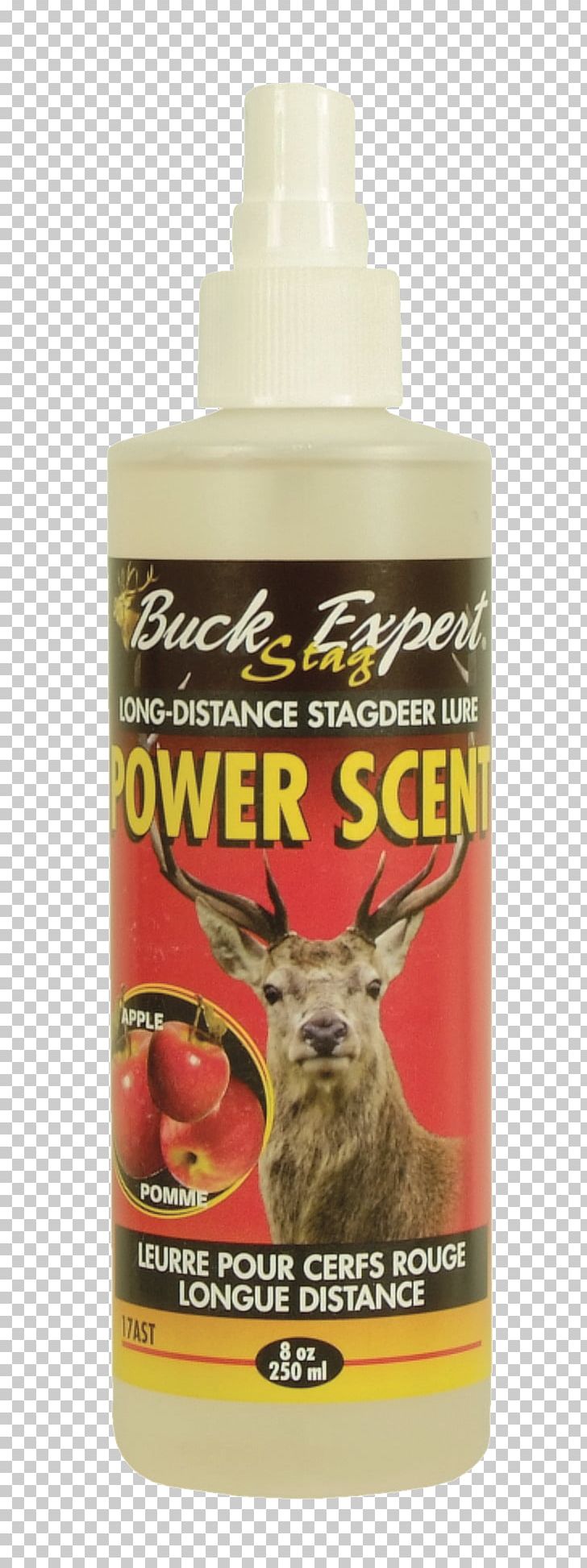 Wild Boar Deer Urine Moose Hunting PNG, Clipart, Animals, Ast, Bait, Coyote, Deer Free PNG Download