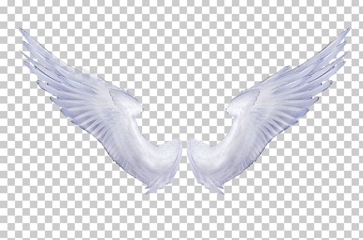 Wing Angel PNG, Clipart, Angel, Angel Wing Logo, Beak, Computer Wallpaper, Digital Image Free PNG Download