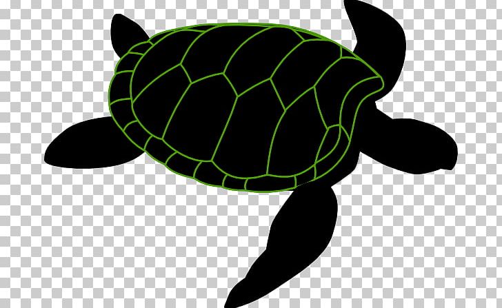 Green Sea Turtle PNG, Clipart, Animal, Animals, Clip Art, Drawing, Fauna Free PNG Download