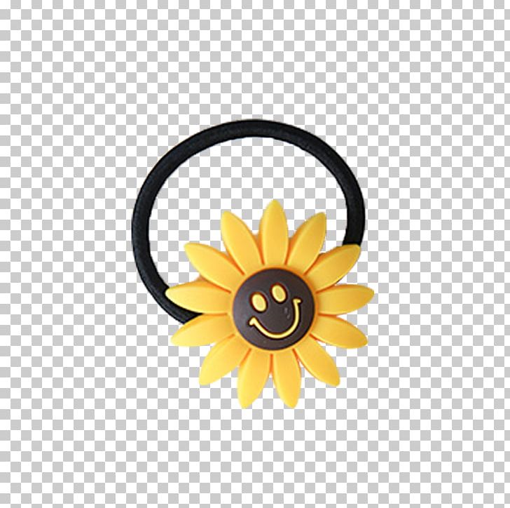 Common Sunflower Designer PNG, Clipart, Band, Black Hair, Daisy Family, Download, Flora Free PNG Download