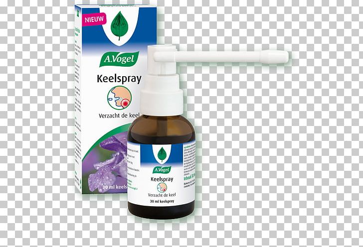 Echinaforce Dietary Supplement Echinacea Purpurea Throat Common Cold PNG, Clipart, Alfred Vogel, Common Cold, Coneflower, Cough, Dietary Supplement Free PNG Download
