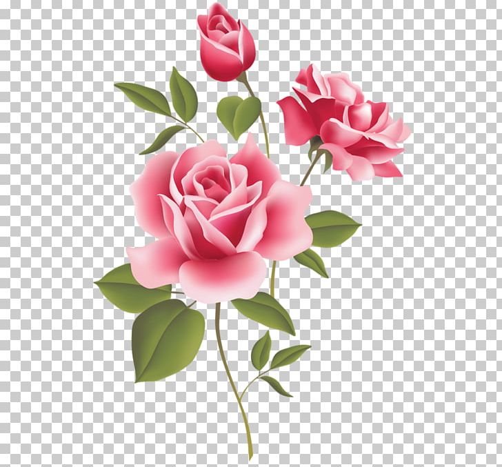 Rose Free Pink PNG, Clipart, Artificial Flower, Blog, Cut Flowers, Download, English Rose Free PNG Download