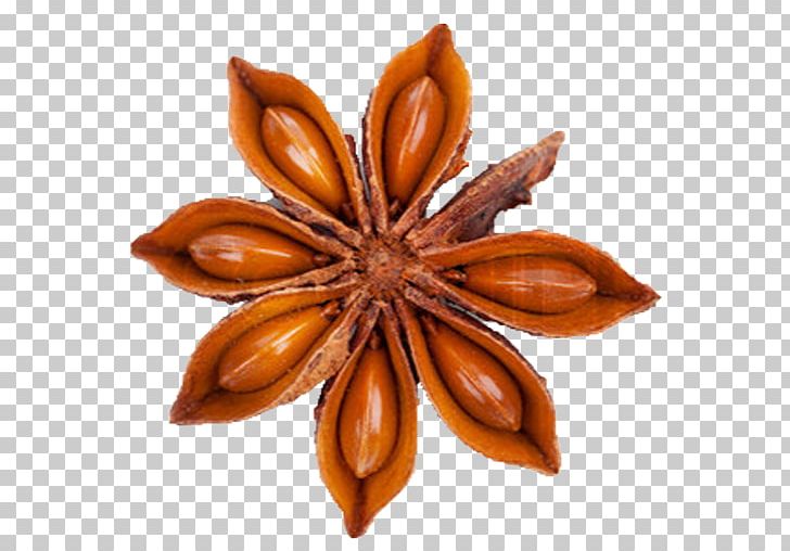 Star Anise Stock Photography PNG, Clipart, Anise, Flavor, Illicium, Ingredient, Others Free PNG Download
