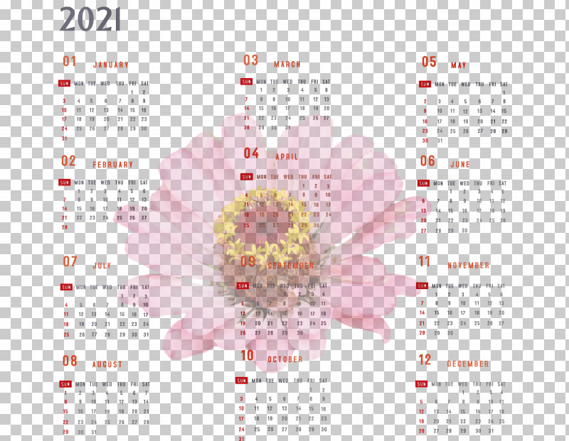Petal Flower Meter Calendar System PNG, Clipart, 2021 Calendar, Calendar System, Flower, Meter, Paint Free PNG Download