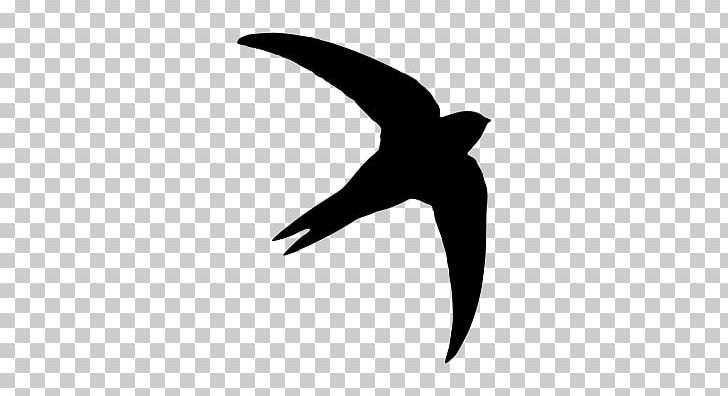Common Swift Silhouette Bird PNG, Clipart, Animals, Apu, Beak, Bird, Black And White Free PNG Download