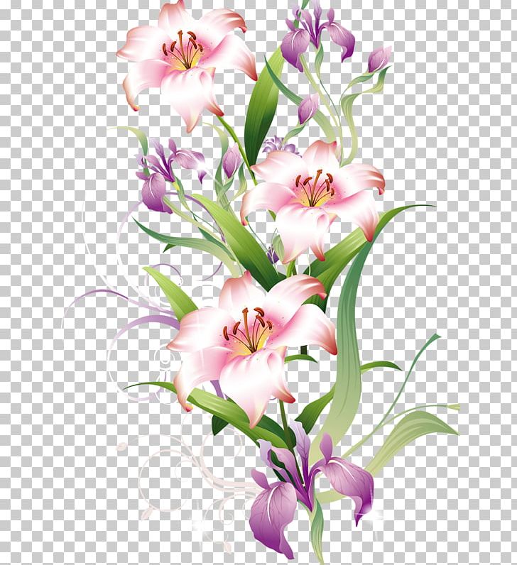 Lilium Bulbiferum Flower PNG, Clipart, Cartoon, Color, Creative, Cut Flowers, Dendrobium Free PNG Download