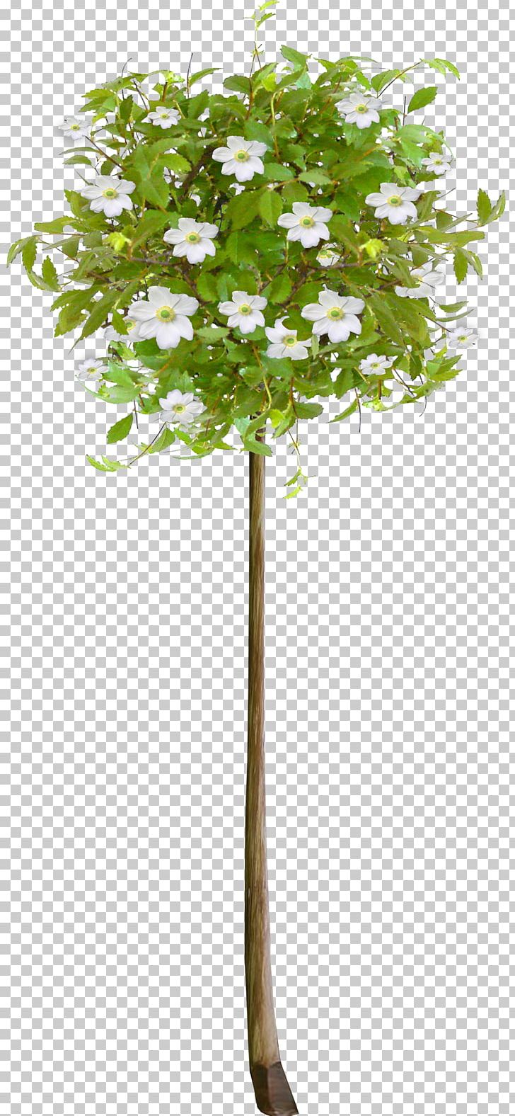 Tree Flower PNG, Clipart, Blog, Branch, Data Compression, Firtree, Flower Free PNG Download
