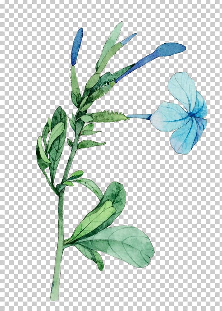 Watercolor: Flowers Watercolour Flowers Watercolor Painting Illustration PNG, Clipart, Blue, Branch, Campanulaceae, Cartoon, Designer Free PNG Download