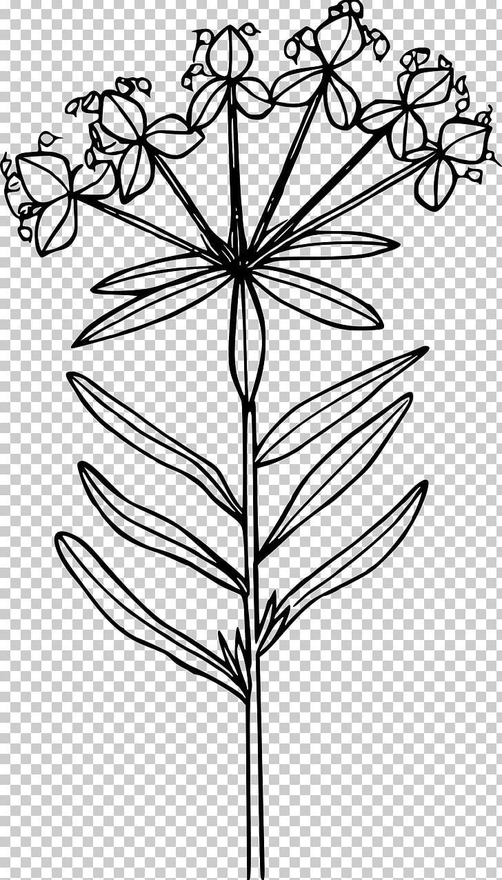 Wildflower Computer Icons Leafy Spurge PNG, Clipart, Angle, Black And White, Branch, California Poppy, Color Free PNG Download
