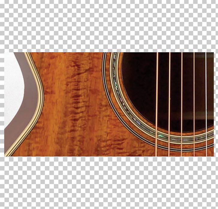 Acoustic Guitar Takamine Guitars Acoustic-electric Guitar Classical Guitar PNG, Clipart, Acousticelectric Guitar, Acoustic Electric Guitar, Classical Guitar, Electric Guitar, Flooring Free PNG Download