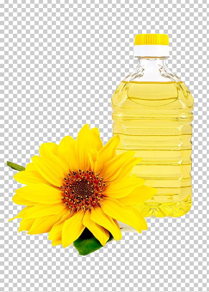 Common Sunflower Sunflower Oil Vegetable Oil Cooking Oil PNG, Clipart, Barrel, Bottle, Calendula, Coconut Oil, Cut Flowers Free PNG Download