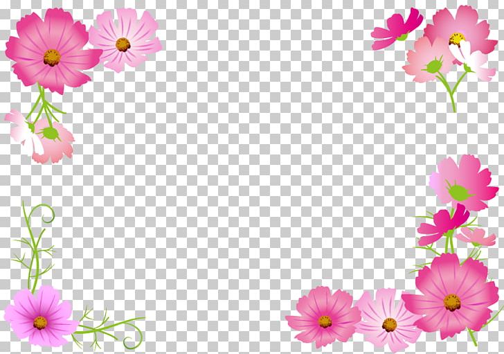 Flower Cosmos ふくしま子ども支援センター Paper PNG, Clipart, Annual Plant, Blossom, Computer Wallpaper, Cosmos, Daisy Family Free PNG Download