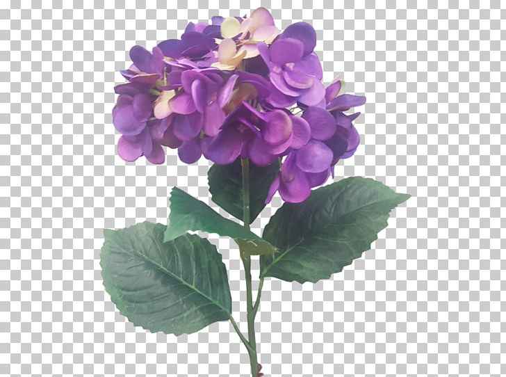 Hydrangea Lilac Lavender Violet Flower PNG, Clipart, Cornales, Cut Flowers, Family, Flower, Flowering Plant Free PNG Download