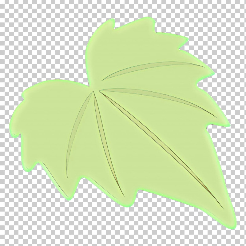 Maple Leaf PNG, Clipart, Green, Ivy, Leaf, Maple Leaf, Plane Free PNG Download