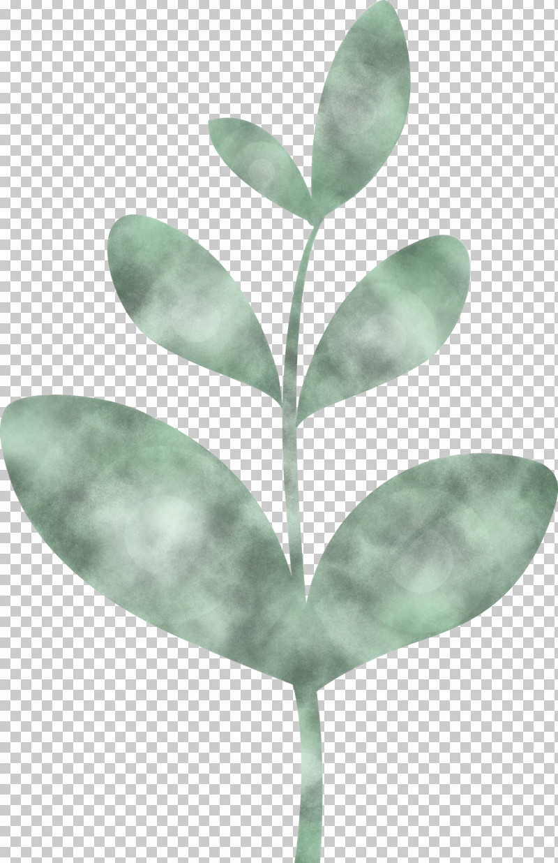 Sprout Bud Seed PNG, Clipart, Anthurium, Branch, Bud, Flower, Flush Free PNG Download
