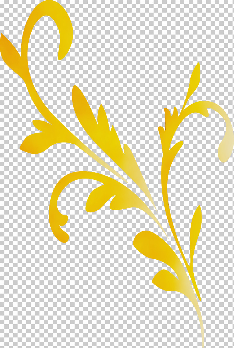 Yellow Leaf Pedicel Plant Flower PNG, Clipart, Decoration Frame, Flower, Leaf, Paint, Pedicel Free PNG Download