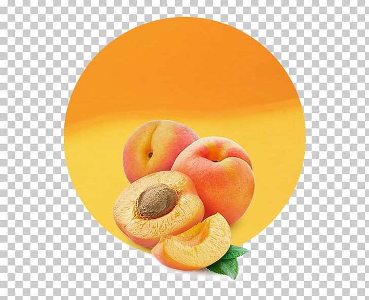 Apricot Kernel Flavor Dried Apricot PNG, Clipart, Amygdalin, Apple, Apricot, Apricot Kernel, Diet Food Free PNG Download