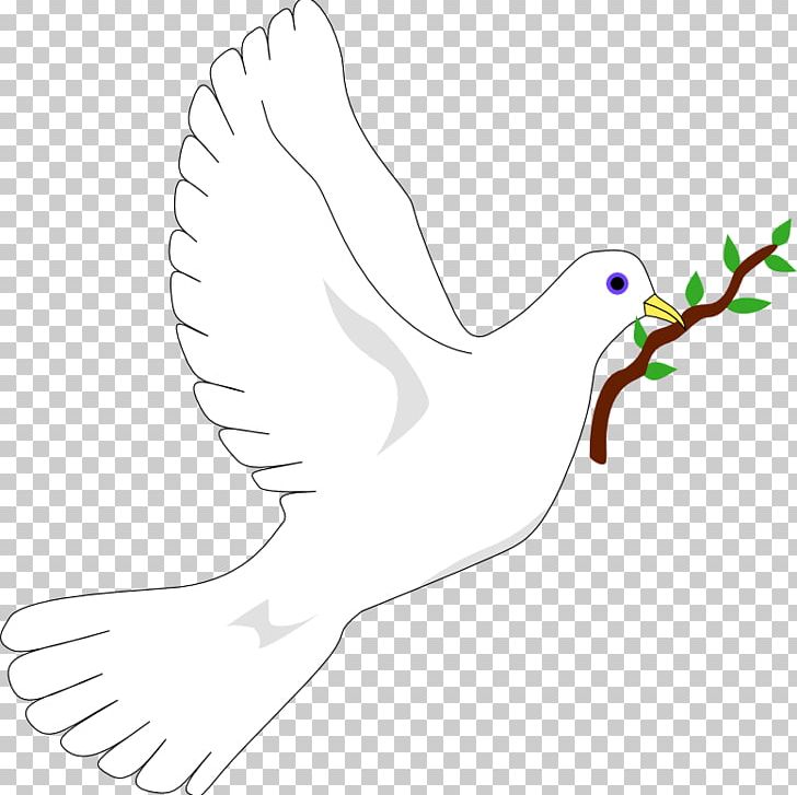 Columbidae Peace Symbols Olive Branch Doves As Symbols PNG, Clipart, Arm, Art, Artwork, Beak, Bird Free PNG Download