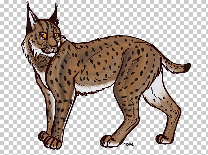Eurasian Lynx Bobcat Canada Lynx Drawing PNG, Clipart, Big Cats, Bobcat, California Spangled, Canada Lynx, Carnivoran Free PNG Download