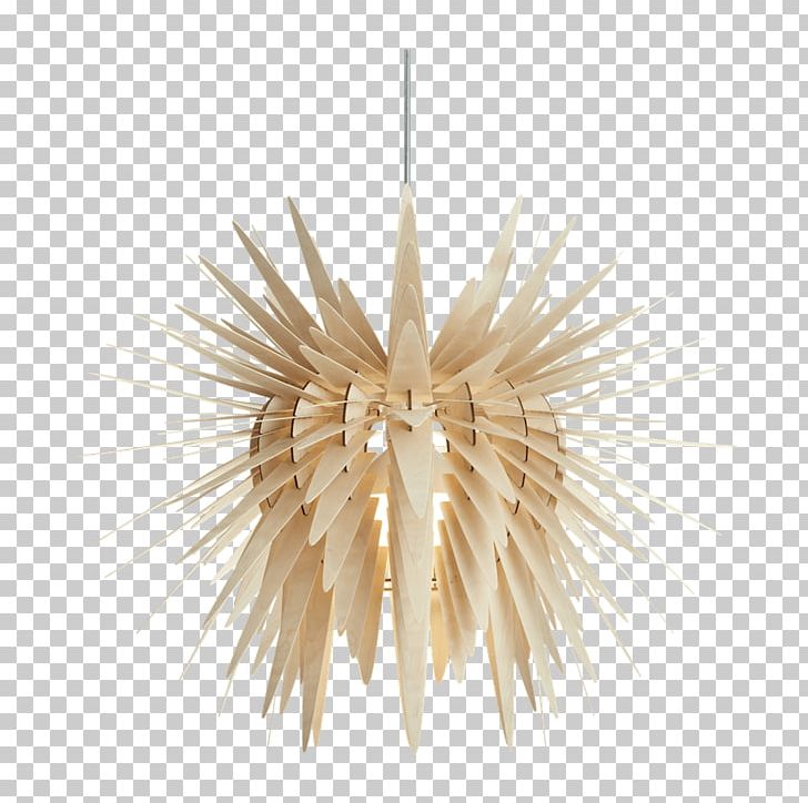 Pendant Light Chandelier Light Fixture Lamp Shades Lighting PNG, Clipart, Ceiling, Ceiling Fixture, Chandelier, Electric Light, Incandescent Light Bulb Free PNG Download