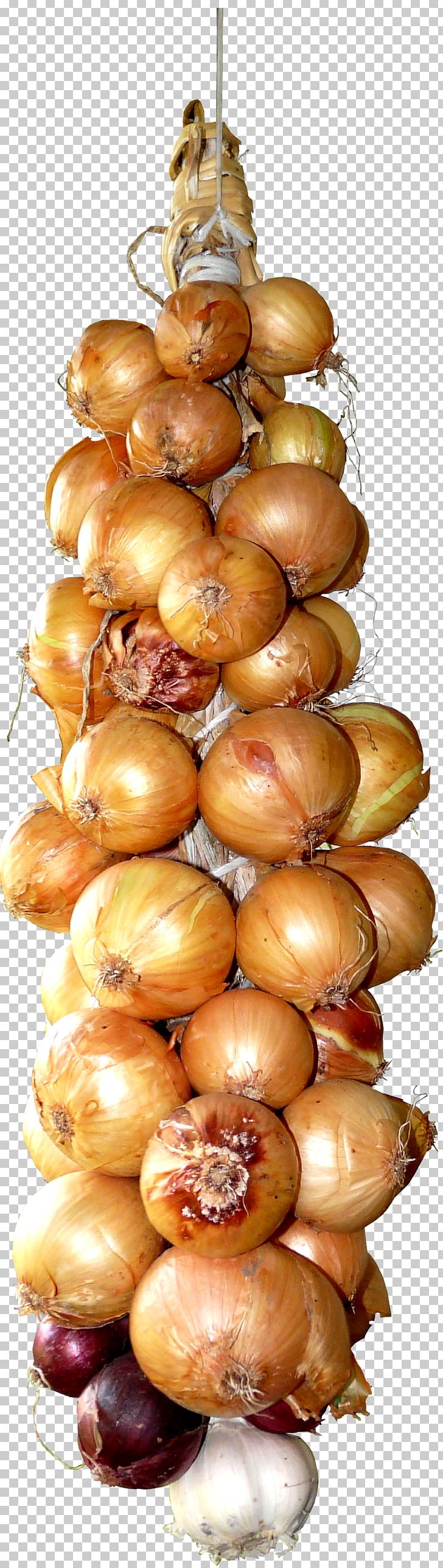 Garlic Onion Food Vegetable PNG, Clipart, Bread, Bunch, Bunch Of Garlic, Cartoon Garlic, Chili Garlic Free PNG Download