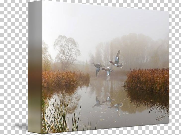Watercolor Painting Water Resources Landscape Bird PNG, Clipart, Art, Bird, Calm, Fog, Landscape Free PNG Download