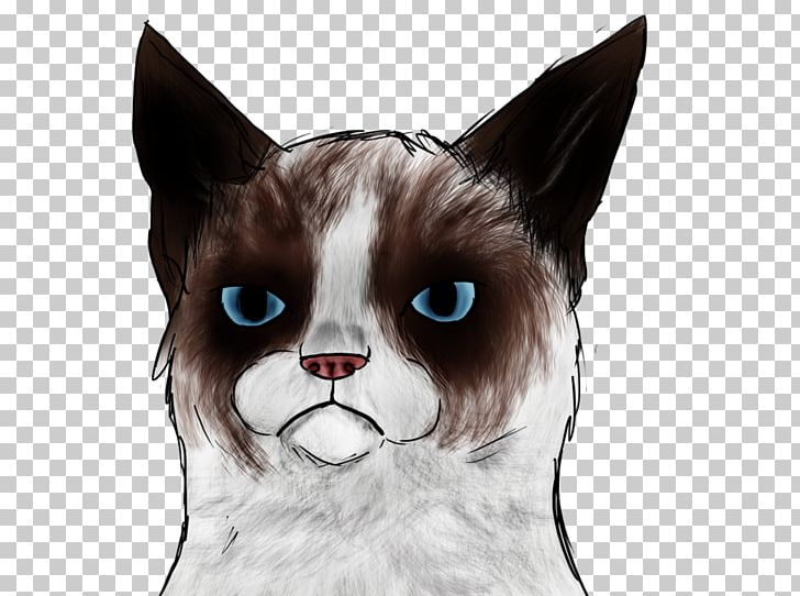 Grumpy Cat: A Grumpy Book Snowshoe Cat Kitten Manx Cat PNG, Clipart, Animals, Birthday, Book, Carnivoran, Cat Free PNG Download