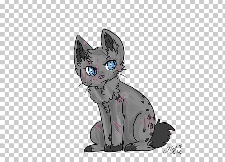 Kitten Korat Whiskers Domestic Short-haired Cat PNG, Clipart, Allie June, Animals, Carnivoran, Cartoon, Cat Free PNG Download