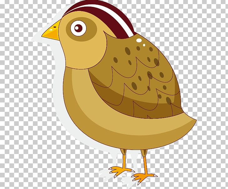 Bird Cartoon PNG, Clipart, Animation, Balloon Cartoon, Beak, Bird, Birds Free PNG Download