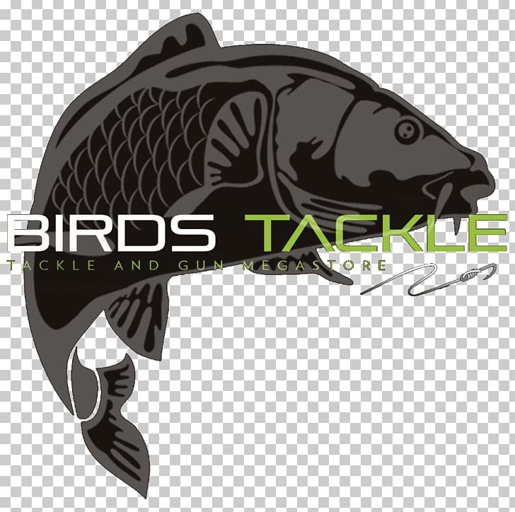 Birds Tackle Fishing Tackle Fishing Bait Boilie PNG, Clipart, Black, Boilie, Cookware, Fish, Fishing Free PNG Download