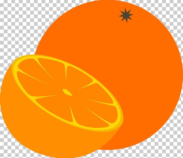 Mandarin Orange Pumpkin PNG, Clipart, Black And White, Calabaza, Cartoon, Chocolat, Circle Free PNG Download