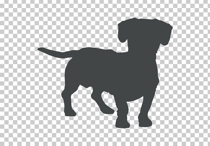Pug Dachshund Portable Network Graphics PNG, Clipart, Black, Cao Cao, Carnivoran, Dachshund, Dog Free PNG Download