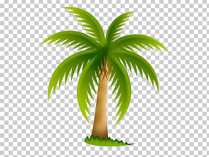 Date Palm Arecaceae Tree PNG, Clipart, Arecaceae, Arecales, Attalea, Borassus Flabellifer, Clip Art Free PNG Download