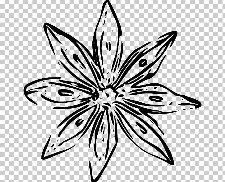 Flower Free Content PNG, Clipart, Art, Black And White Flower Outline, Color, Download, Flora Free PNG Download