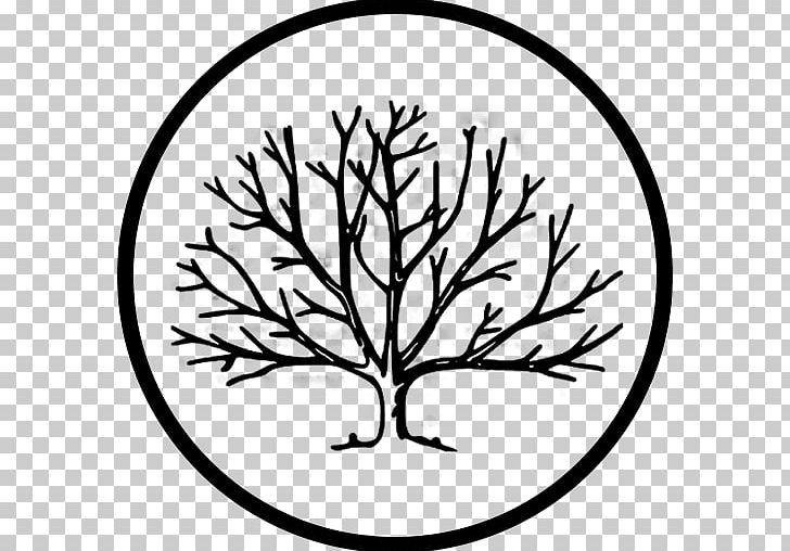Tree Deciduous PNG, Clipart, Art, Artwork, Black And White, Branch, Canvas Free PNG Download
