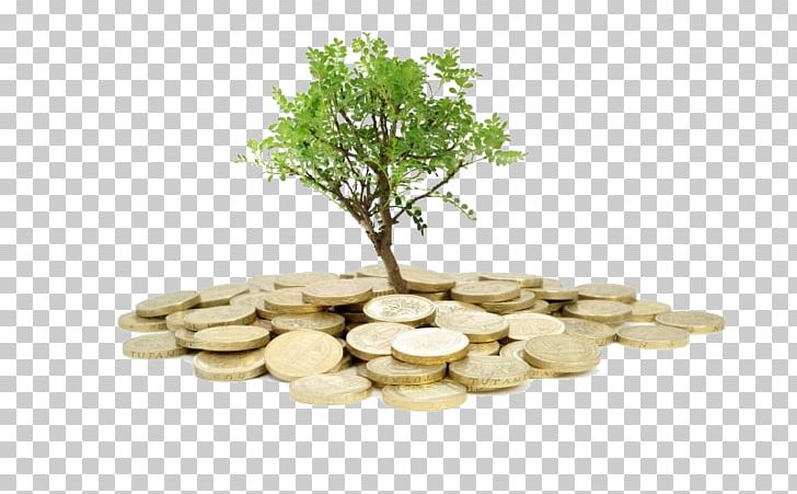 Investment Bank Finance Tax Money PNG, Clipart, Accounting, Bank, Business, Company, Cooperative Free PNG Download